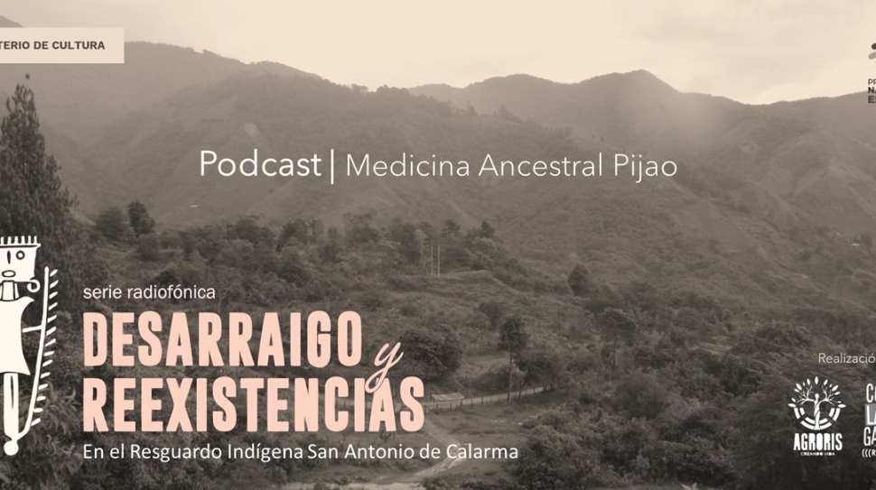 4. MEDICINA 1web