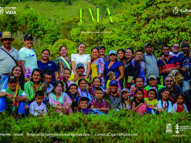 IMA-PLANTAS